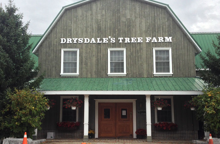 drysdales tree Farm - DJ MasterMix